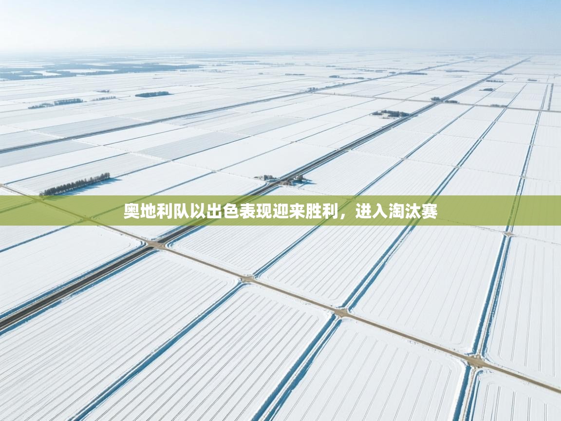 奥地利队以出色表现迎来胜利,进入淘汰赛 第2张