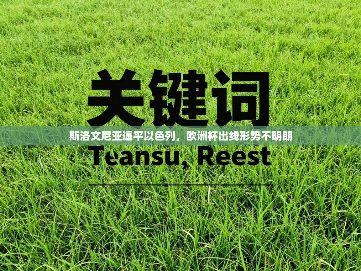 斯洛文尼亚逼平以色列,欧洲杯出线形势不明朗 第2张