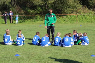 九游娱乐平台-五大联赛核心球员缺阵时教练战术应变差异分析，五大联赛主教练工资排名