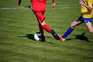 九游官网入口活动-仰泳大战美队领先毫厘之间，仰泳比赛视频欣赏